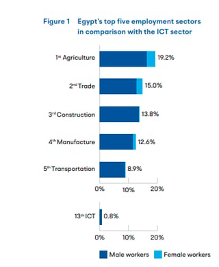Comparación de los principales sectores laborales de Egipto con la industria de las TIC